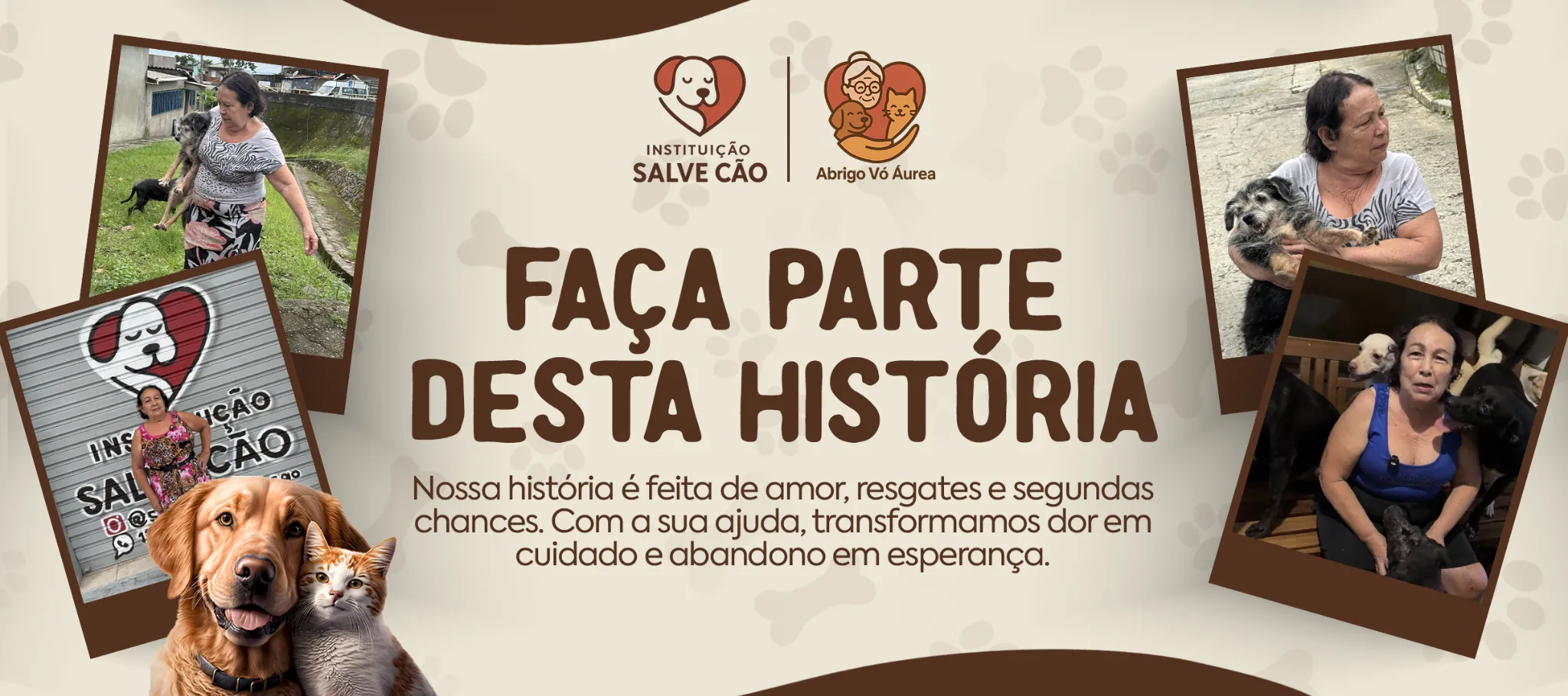 História do abrigo Voa Áurea e da Instituição Salve Cão